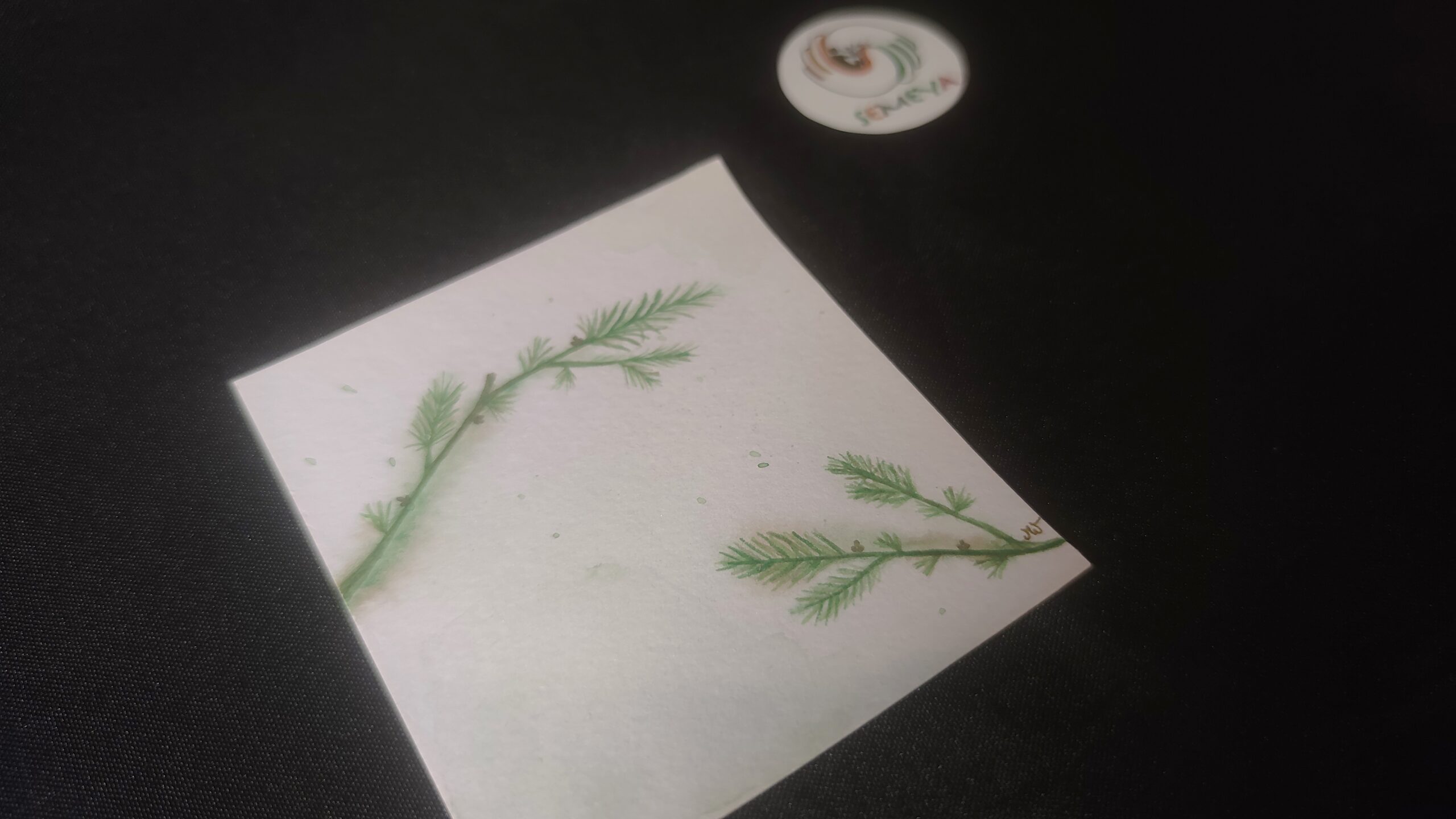 Carte douce aquarelle à remplir – Image 2